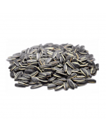 GRAINE DE TOURNESOL XL GRILLEE SALEE