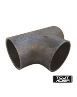 TE ACIER 33X42X2.5